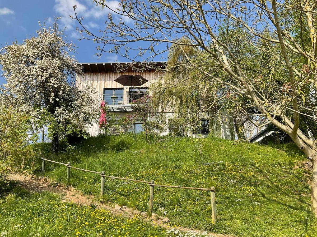 Moselglueck Apartment Schweich Bagian luar foto